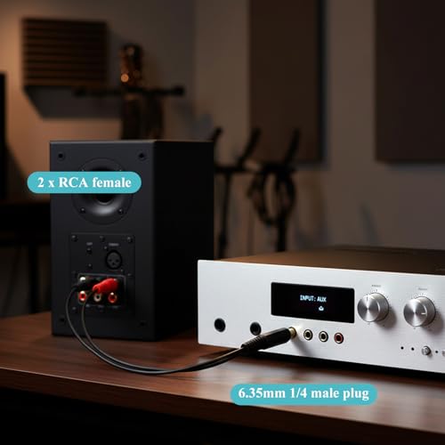 6.35mm to RCA Cable 1/4 Male to Dual RCA Female Splitter Stereo Audio Y Adapter Cord Quarter Inch Mono TS to 2 RCA Female Jack Plug Interconnect for Amplifier Mixer Speaker Home Theater (8 Inch)