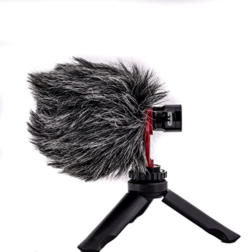 CAD Audio PM3100 PodMaster Run-n-Gun Professional Podcast/Streaming Microphone