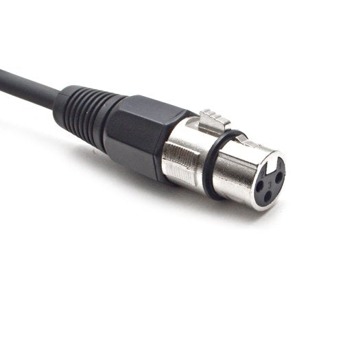 Seismic Audio - SATRXL-F6 - Black 6' XLR Female to 1/4" TRS Patch Cable - color: Black, size: 6 Foot