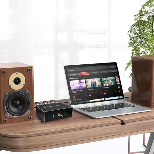 Dingsun 2-Way Audio Switcher Can Support Two Amplifiers, One Audio or One Amplifier, Speaker Switcher Selector Switch Splitter Loudspeaker Control Combiner Box 2(1)-in-1(2)-Out