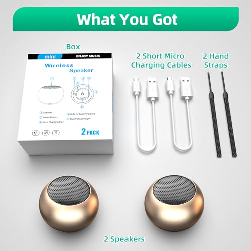 2Pack Portable Mini Speakers, Bluetooth Tiny Speakers,Wireless Micro Speaker for Phone/PC/Tablet, Rechargeable Battery, Built-in Microphone, Cute Mini Speaker with Strap to Carry, Gold - color: Gold