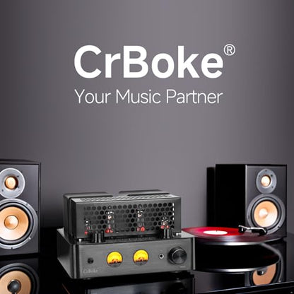 Tube Amplifier, Stereo Vacuum Tube Class A/B Amplifier,Integrated Amplifier with Bluetooth 5.0,Subwoofer Output, Headphone Output, Record Player Phono Preamp and USB DAC