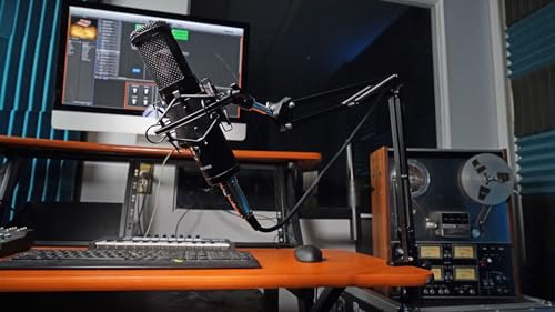 Rockville Microphone Boom Arm Studio Podcast USB Mic Stand+Desk Clamp (30") | USB Mic Stand, Internal Springs, Steel Frame, Aluminum Alloy Clamp, Broadcasting, Fits Desks up to 2" Thick, ABS Mic Clip - size: 30"