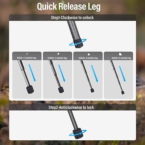 SIRUI Carbon Fiber Tripod Lightweight 2lbs with Panoramic Fluid Head, 59.8” Compact Camera Tripod Quick Release Leg Setup, Reversible Center Column, Reverse Folding Legs, Max Load 11lbs - Traveler X - size: Fluid Head/AT-10
