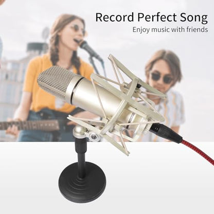 10FT XLR to USB Recording Cable,XLR Female to USB A Microphone Link Converter Cable for Microphones or Karaoke Recording