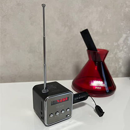 Mini Wireless Portable Bluetooth FM Radio Speaker MP3 Player, Black - color: Black