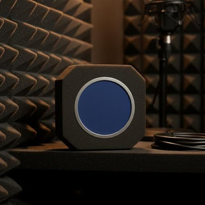 Mic Sound Absorbing Foam Windproof Vocal Pickup Separation Cover Lightweight Vocal Pickup Reflection Screen for Vocalists