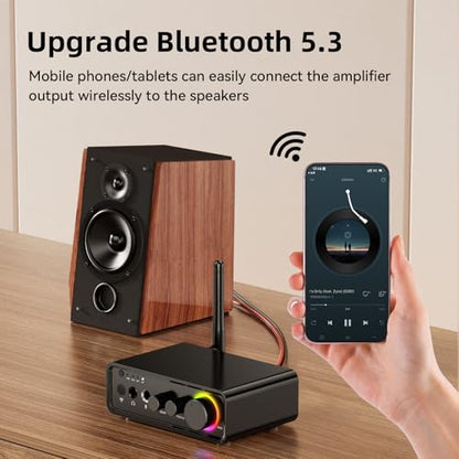 M19 BT Amplifier Stereo Receiver, Bluetooth 5.3 Mini Amplifier 2 Channels 100W x2 HiFi Class D Amp with RCA/Optical/Coaxial/Mic Input and Bass Treble Control for Home Outdoor Speakers