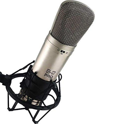 BEHRINGER B-2 PRO