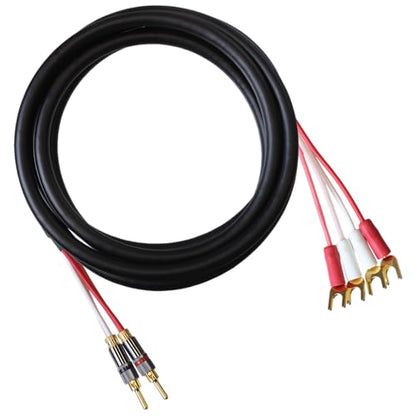 Blue Jeans Cable Canare 4S11 Speaker Cable, with Ultrasonically-Welded Bi-Wire Terminations (One Cable - for one Speaker); Assembled in The USA (4 Foot, Black, Two Bananas to Four Spades) - color: Black, size: 4 foot, style: Two Bananas to Four Spades