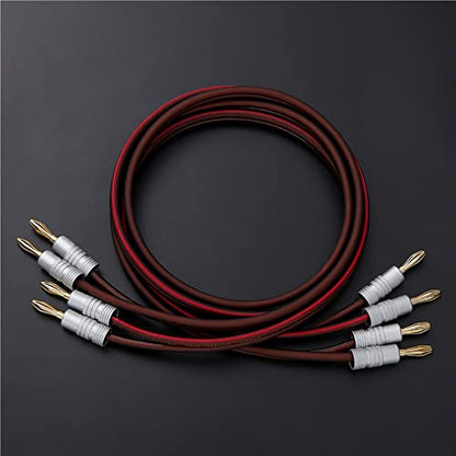 Audiophile Grade Speaker Cable with Gold Plated Banana Plugs,Oxygen-Free Copper (OFC) 13AWG, (3.3 Feet 1 M), Pair…… - size: 3.3 ft