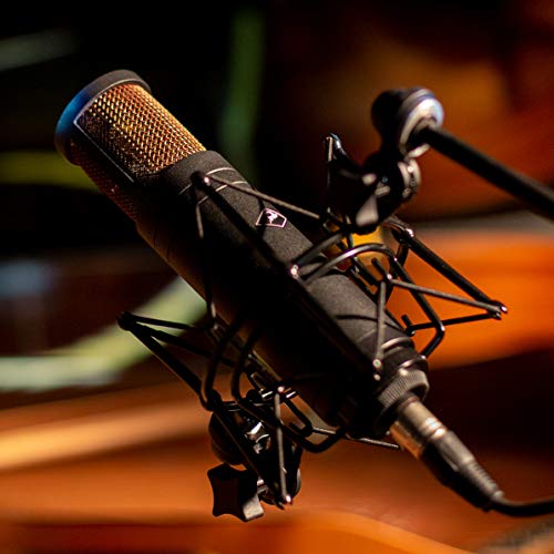 Antelope Audio Edge Duo Double Membrane Condenser Microphone - size: Edge Duo