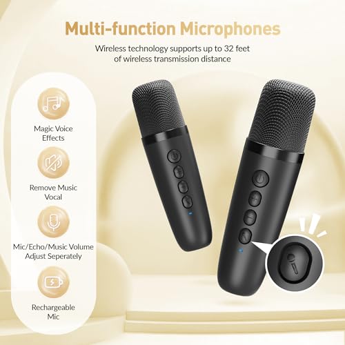 Mini Karaoke Machine,Portable Bluetooth Speaker with 2 Wireless Microphones - color: Black