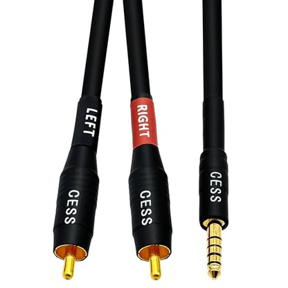CNCESS 4.4mm Balanced Male to 2 RCA Plug Audio Cable – 24 Inch