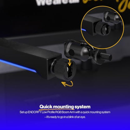 ENDORFY Broadcast Low Profile RGB Boom Arm, Premium Low Profile Microphone Smartfone and Light Arm with Cable, Rotatable, LED Lights with Controller