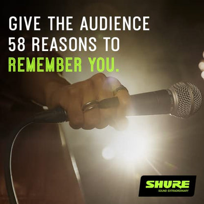 Shure SM58S Pro XLR Dynamic Vocal Microphone with On/Off Switch | Cardioid dynamic vocal mic with on/off switch for studio, live performance, podcasting and recording - style: SM58 with On/Off Switch