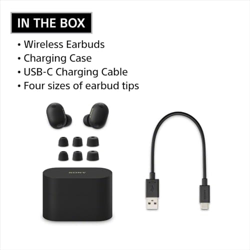 Sony WF-1000XM6 The Best Noise Cancelling Wireless Earbuds, Black | Truly Wireless Headphones, Studio-Quality, HD NC Processor QN3e, Ultra Clear Calls, Up to 24 Hours of Battery, Bluetooth - color: Black