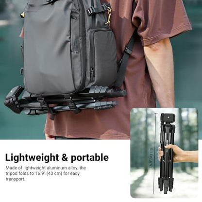 NEEWER Entry Level Version Tripod for Cell Phone & Camera, Metal Lightweight Portable Travel Stand with Cold Shoe Cellphone Holder Mount Compatible with iPhone for Video Recording Filming, TP53 - style: TP53