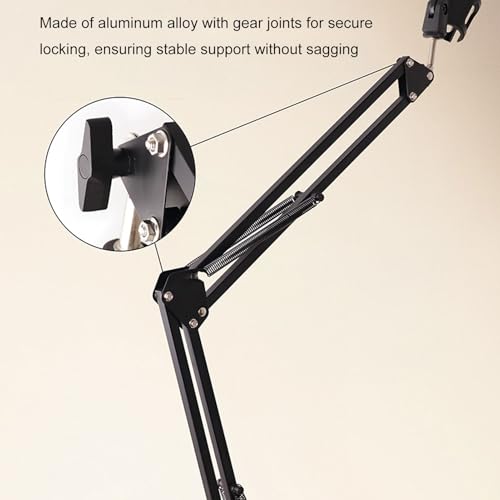 EBTOOLS Microphone Boom Arm, Adjustable Aluminum Alloy Desk Mount Mic Stand with 360 Ball Head and Cable Management, for Podcast Streaming Gaming Studio