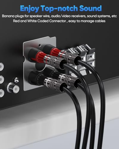 2-Pairs/4-PCS Banana Plugs, Gold Plated Banana Plugs for Speaker Wire | Compatible with Wall Plate, Audio/Video Receiver, Amplifier, Home Theater, Sound System (Red + White) - size: 2 Pairs