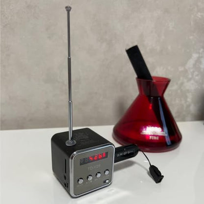 Mini Wireless Portable Bluetooth FM Radio Speaker MP3 Player, Blue - color: Blue