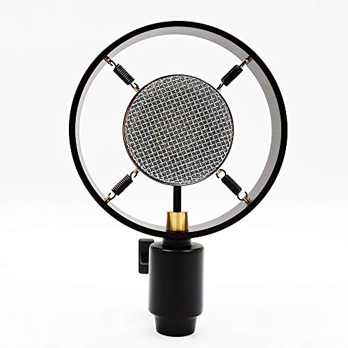 Antique Vintage Classic Cinema Theater Auditorium Speech Live Vocal 25mm Big Diaphragm Condenser Microphone