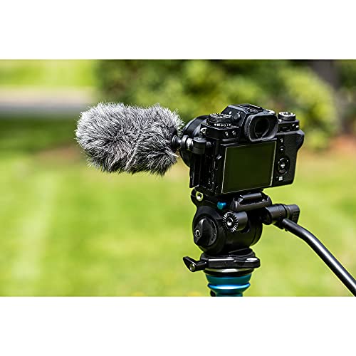 Saramonic SmartMic5 | Unidirectional Micro-Shotgun Microphone with 3.5mm TRS Output for Cameras, Recorders, Mixers, Wireless Transmitters and More - size: Micro-Shotgun TRS