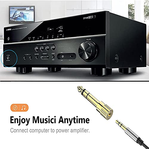 WISYIFIL 6.35mm (1/4 inch) Male to 3.5mm (1/8 inch) Female Stereo Audio Headphone TRS Jack Cable Converter,Gold Plated Copper 2 Pack