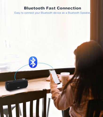 Portable Bluetooth Speaker FM Radio Digital, Support USB/SD Card MP3 Music Player/AUX/REC, Build-in 3000mAh Rechargeable Battery, 10W Powerful Speaker and Earphone Jack for Indoor Outdoor