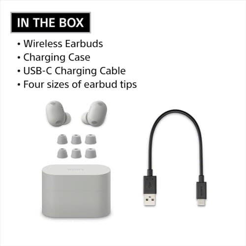 Sony WF-1000XM6 The Best Noise Cancelling Wireless Earbuds, Platinum Silver | Truly Wireless Headphones, Studio-Quality, HD NC Processor QN3e, Ultra Clear Calls, Up to 24 Hours of Battery, Bluetooth - color: Platinum Silver