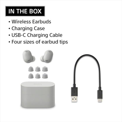 Sony WF-1000XM6 The Best Noise Cancelling Wireless Earbuds, Platinum Silver | Truly Wireless Headphones, Studio-Quality, HD NC Processor QN3e, Ultra Clear Calls, Up to 24 Hours of Battery, Bluetooth - color: Platinum Silver