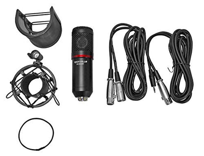 Audiosavings Bundle: Focusrite SCARLETT 18I16 4G 4th Gen 24-bit 192 kHz Audio Recording Interface Bundle with Rockville RCM SR Studio/Recording Condenser Microphone Mic w/Samsung Capacitors (2 Items)