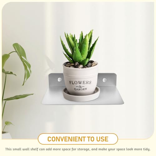 Small Aluminum Floating Wall Shelf for Speakers and Monitors, Sturdy and Easy to Install Wall Mount Holder, for Craft Room and Kitchen Organization