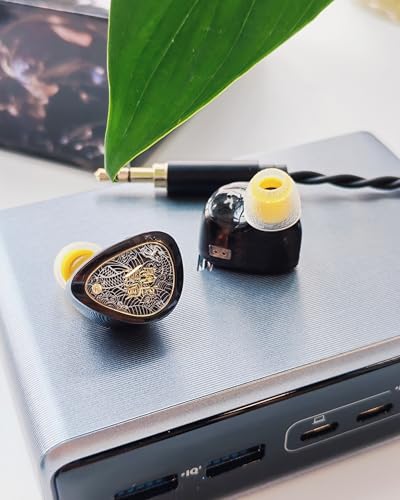 TANGZU Wan'er S.G II in Ear Monitor, Gaming IEM Earphones, HiFi Wired Earphones with 10mm Single Dynamic Driver PET Diaphragm, 0.78mm 2-Pin Tangle-Free Detachable Cable (Black, 3.5mm with Mic) - color: Black, size: 3.5mm Jack with Mic