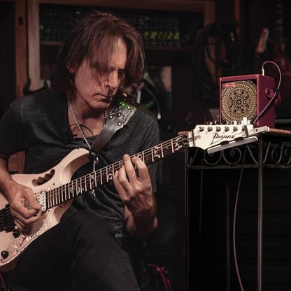 Positive Grid Spark MINI Vai 10W Portable Smart Amp, Designed by Steve Vai | Exclusive Mandala grille, burgundy tolex, burgundy weave cable & 4 custom Steve Vai presets. 100k+ tones, smart app. - color: Vai Burgundy