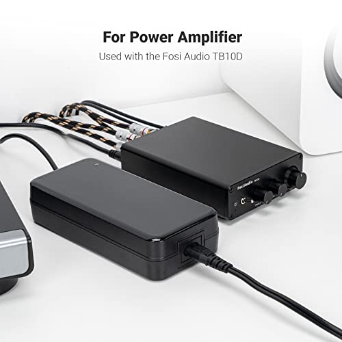 Fosi Audio 48V 5A Power Adapter Supply for Home Audio Bluetooth Stereo Receiver Amplifier Mini Hi-Fi Class D Integrated Amp