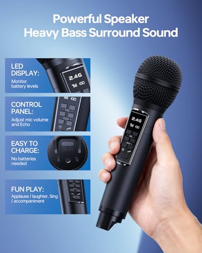Karaoke Machine for Adults & Kids, Portable 80W Bluetooth Speaker - 2 Wireless Microphones, Echo Adjust, Support USB/AUX, for Outdoor/Indoor Gathering Party Gifts - size: 218