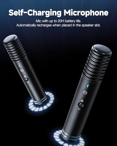 Ikarao Karaoke Machine for Adults, with Lyrics Display, 10.1" Screen, 280W, 2+2 Channel, 2 Wireless Microphone, Autotune EQ, Self-Charging, Portable Home Karaoke System with KaraFun Prime, HDMI for TV
