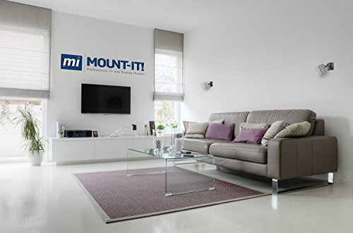 Mount-It! Speaker Mount for Wall and Ceiling, Low Profile Heavy Duty, Anti-Theft, Universal for Channel Surround Sound and Satellite Speakers, Black, 2 Mounts - size: 2 Pack