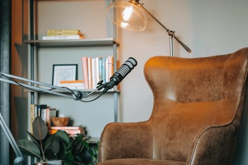 512 Audio by Warm Audio BBA Adjustable Microphone Boom Arm Mic Stand for Podcast, Streaming and Recording