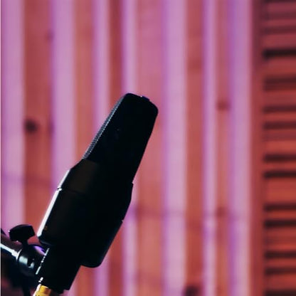 sE Electronics X1 A Large-diaphragm Condenser Microphone Bundle | Exceptional Performance and Reliability, Professional-Grade Condenser Capsule, Mic Cable & Polishing Cloth Included