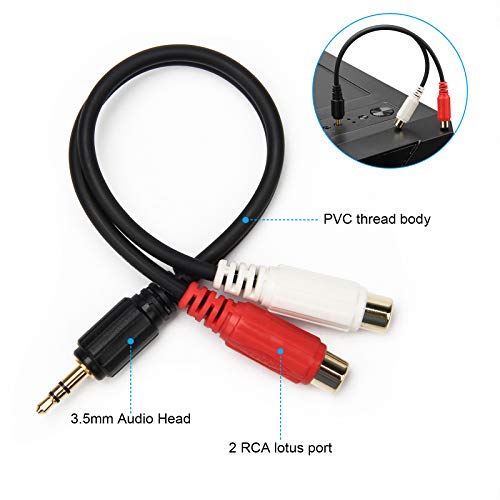 AHIER 3.5mm Male to RCA 2 Female Adapter Audio, Gold 1/8 Stereo Mini Jack | 20cm, Adapter