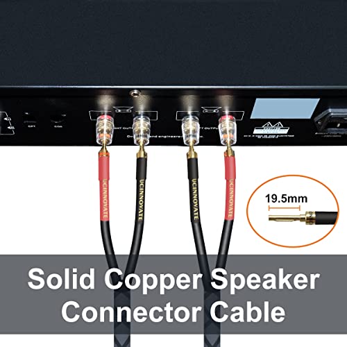 UCINNOVATE Bi-Wire Speaker Cables, 2 Pack OFC 9.8Ft Home Theater Premium Speaker Cable Wire with Gold-Plated Banana Tip Plugs, Audiophile Heavy Duty Braided Speaker Wire for Audio Amplifier Subwoofer - style: 2 x Bi Wired Speaker Wires
