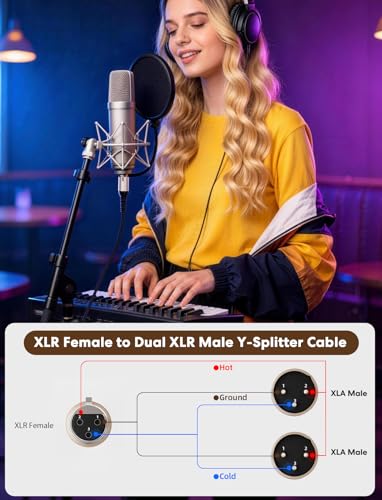 VIOY XLR Y Splitter Cable 10 FT, 3Pin Balanced 1 Female to 2 Male Mic Cord - size: 10FT