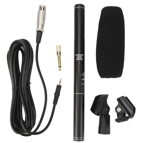 Microphone, Professional XLR Condenser Microphone with Dual Pickup Modes for DSLR Cameras