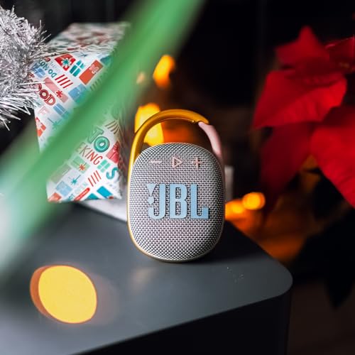 JBL Clip 4 - Portable Mini Bluetooth Speaker, big audio and punchy bass, integrated carabiner, IP67 waterproof and dustproof, 10 hours of playtime, speaker for home, outdoor and travel (Grey) - color: Grey