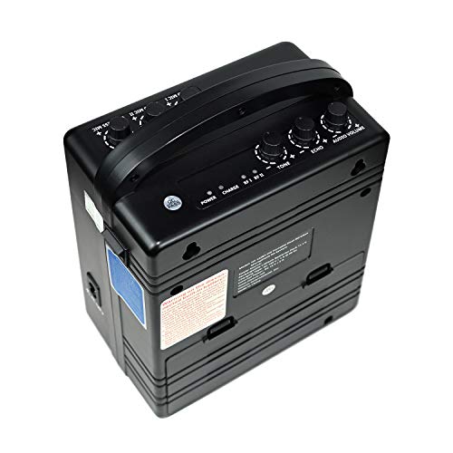 Hisonic HS122BT-HL Portable and Rechargeable PA System with Dual UHF Wireless Microphones & Bluetooth Connection