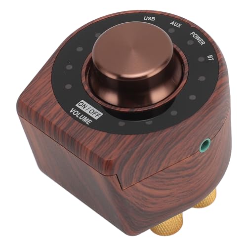 100W 5.0 Small Amplifier, HiFi Stereo Sound Digital Amp with AUX USB BT, for Mobile Phones Tablets Computers TVs Speakers
