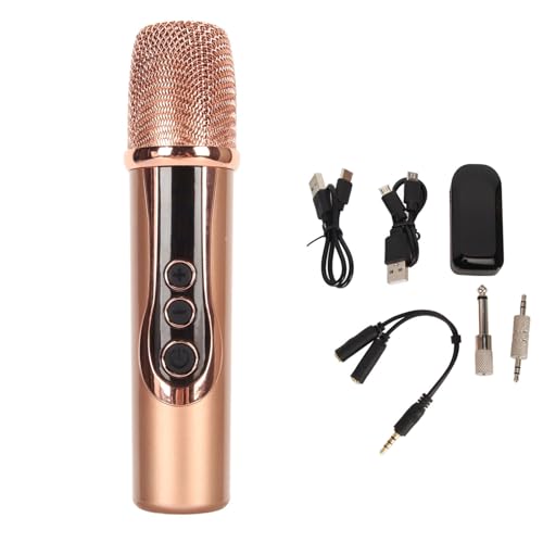 2.4G Wireless Microphone, ABS 15M Long Distance Transmission Whistling Suppression DSP Noise Reduction Chip 6.35mm 3.5mm Adapters Microphone for Outdoor Speaker (1 to 1) - size: 1 to 1