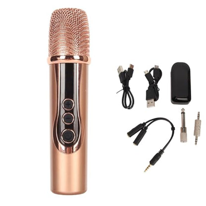 2.4G Wireless Microphone, ABS 15M Long Distance Transmission Whistling Suppression DSP Noise Reduction Chip 6.35mm 3.5mm Adapters Microphone for Outdoor Speaker (1 to 1) - size: 1 to 1